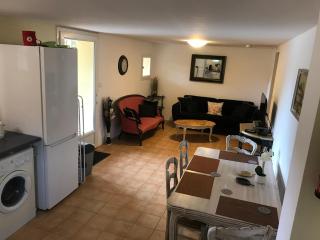 Large Relaxing Spot on the River Lot - Penne-dʼAgenais - 9