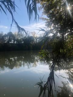 Large Relaxing Spot on the River Lot - Penne-dʼAgenais - 1