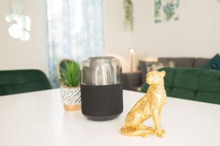 Jungle appartement lumineux plein centre - Boulogne-sur-Mer - 8