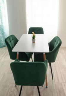 Jungle appartement lumineux plein centre - Boulogne-sur-Mer - 9