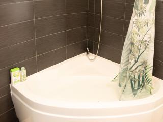 Jungle appartement lumineux plein centre - Boulogne-sur-Mer - 1