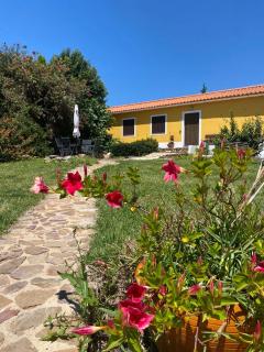 Quinta Cunte - Casa Girassol - São Luis - 8