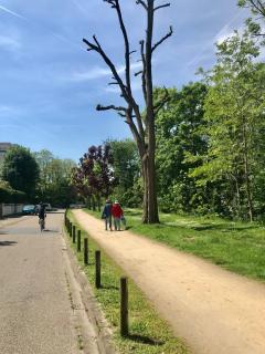 Nice flat close to Seine river in Paris - 1