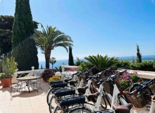 Somptuous exotic villa in Cannes - Cannes - 3