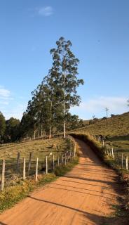 Casa de Campo Pé da Serra - Sitio em Campos Novos de Cunha - 5