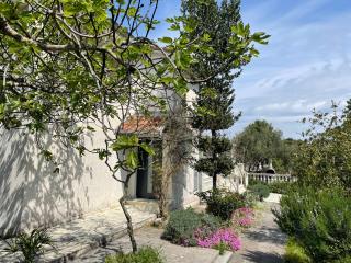 Villa Dea Solis - Mrljane - 9
