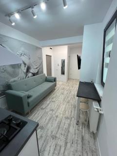 Van residence - Năvodari - 1