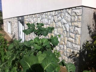 Apartments with a parking space Zaglav, Dugi otok - 11924 - Zaglav - 5