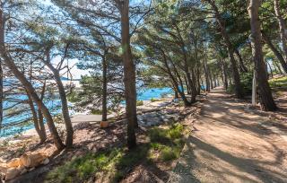 Apartments by the sea Drage, Biograd - 23455 - Pakoštane - 6