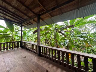 Ecohotel Iraka Cabañas Privadas en Selva y Playa - Bahía Solano - 7
