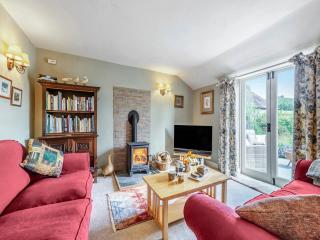 Willow Tit Cottage - Capel-Cynon - 0