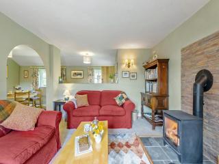 Willow Tit Cottage - Capel-Cynon - 8