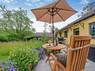 Willow Tit Cottage - Capel-Cynon - 7