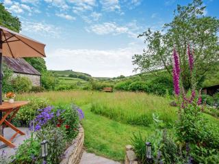 Willow Tit Cottage - Capel-Cynon - 5