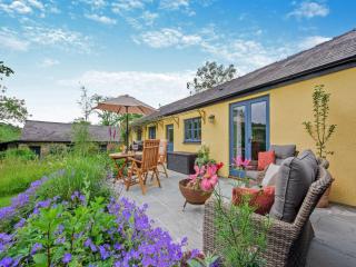 Willow Tit Cottage - Capel-Cynon - 4