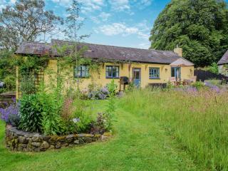 Willow Tit Cottage - Capel-Cynon - 3