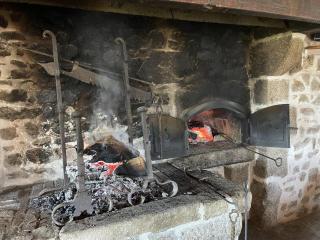Maison rustique avec cheminée, jardin et animaux admis à Laprugne - FR-1-489-184 - 7