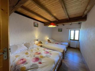 Maison rustique avec cheminée, jardin et animaux admis à Laprugne - FR-1-489-184 - 6