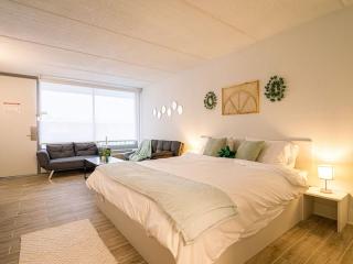 Modern Orlando 1BR Home & minutes to Disney - Kissimmee - 9