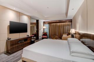 Hyatt Ahmedabad - Ahmedabad - 9
