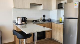 Acogedor Departamento más estacionamiento - 1