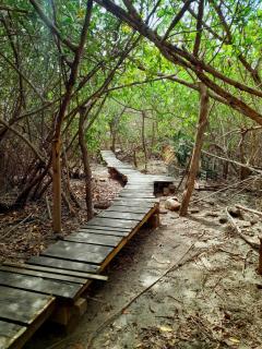 Eco hostal TONATIUH - Mazunte - 2