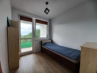 Przestronne m przyjazne dzieciom i zwierzętom - 3
