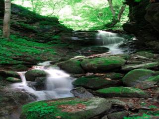 Farmhouse near Afritzer See & Verditz Trails - Innere Einöde - 1