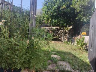 Da Anto - Trivio - 1
