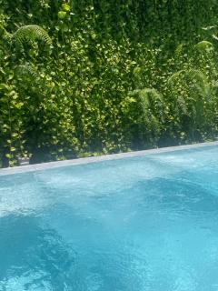 3DusitD2 Hua Hin - One bedroom with a beautiful view of garden and pool - Hua Hin - 3