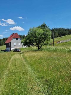 Konak Vrela Žabljak - Žabljak - 5