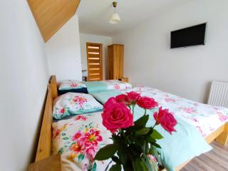 Apartamenty nad potokiem - Krościenko - 1