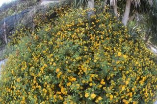 LM Home Casa di campagna a 2 min a piedi dal mare - 3