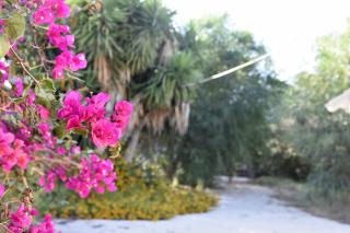 LM Home Casa di campagna a 2 min a piedi dal mare - 1