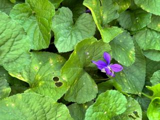 Jamarqui Barn Cottages - 9