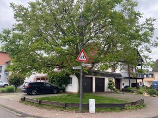 Fewo-zum-Nussbaum - Mosel 1 - 9