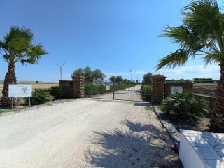 Tenuta viale degli ulivi - San Martino in Pensilis - 3