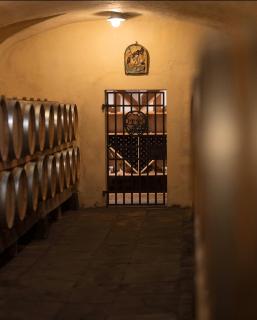 Castello Pomino - Rufina - 3