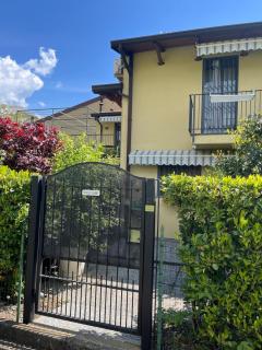 A Nest 4 Family - Erba - 5