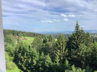 2-ZIMMER FERIENWOHNUNG IM DREILÄNDERECK BAYERISCHER WALD - Neureichenau - 9