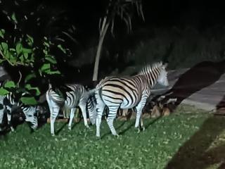 Khululeka Safaris Lodge - 2