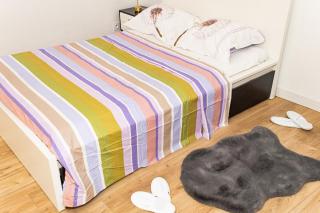 Sky Haven, 5Mins Orly Airport - Athis-Mons - 1