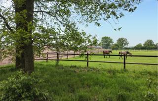 Lovely Home In Hellendoorn With Kitchen - Hellendoorn - 2