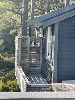Koselig enkel hytte i fjellet - Frafjord - 4