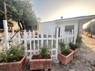 La Dimora degli ulivi - Tusa - 9