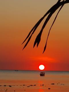 Sunset Moyo Bungalows - Moyo Island - 8