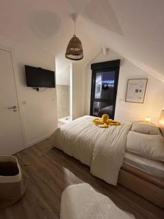 LOFT & SPA, aux Portes de Disneyland et de Paris - Saint-Thibault-des-Vignes - 3