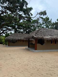 Peanut Farm Surf and Wild Resort - Arugambay - 8