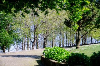 Bosque Encantado - 6