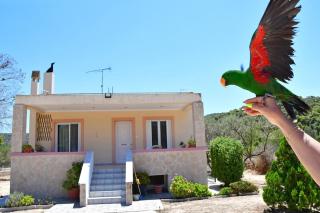 Kathrine's House in Vagia - Vagia - 5